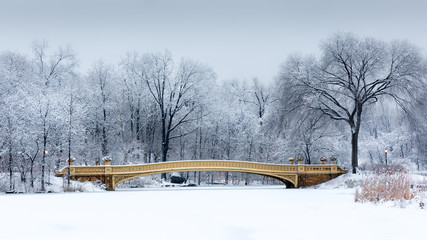Naklejka premium Dreamy landscape with the Bow Bridge in Central Park, NYC
