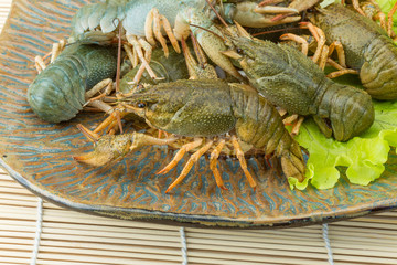Raw Crayfish