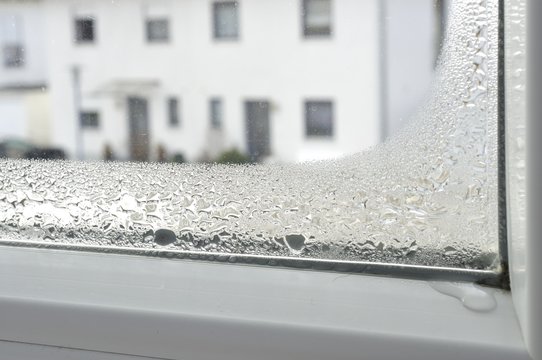 Kondenswasser am Fenster