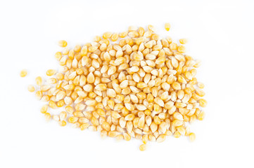 Corn isolated on white background close up