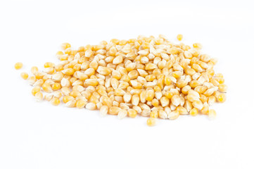 Corn isolated on white background close up