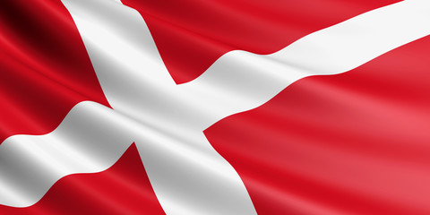 Denmark flag.