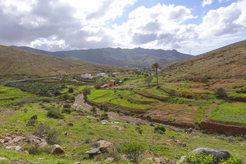 Fototapeta na wymiar Mountain view in Fuerteventura Canary islands Las palmas Spain