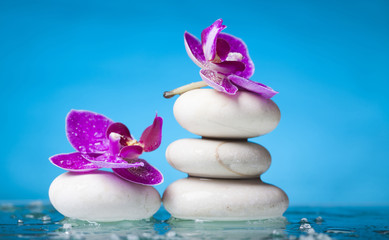 Naklejka na ściany i meble Spa still life with pink orchid and white zen stone in a serenit