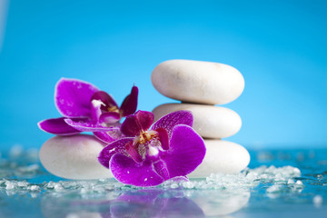 Fototapeta na wymiar Spa still life with pink orchid and white zen stone in a serenit