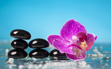 Naklejka na ściany i meble Spa still life with pink orchid and black zen stone