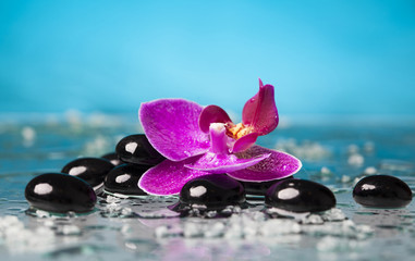 Spa still life with pink orchid and black zen stone
