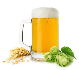 Krug Bier mit Weizen und Hopfen auf dem weißen Hintergrund isoliert