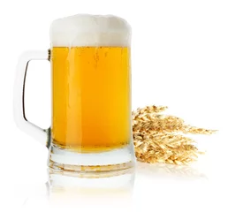 Foto op Plexiglas kruik bier met tarwe geïsoleerd op de witte achtergrond © Iurii Kachkovskyi
