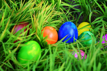 Fototapeta na wymiar Easter Eggs with Fresh Green Grass over white background