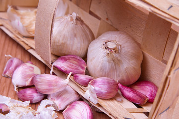 garlic
