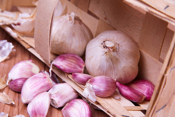 garlic
