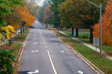 Fall colours on a tree lined street