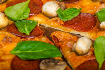 Salami, spinach and muschrooms rustic pizza