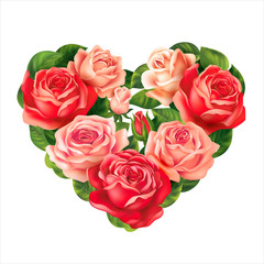 Roses heart on white. Vector
