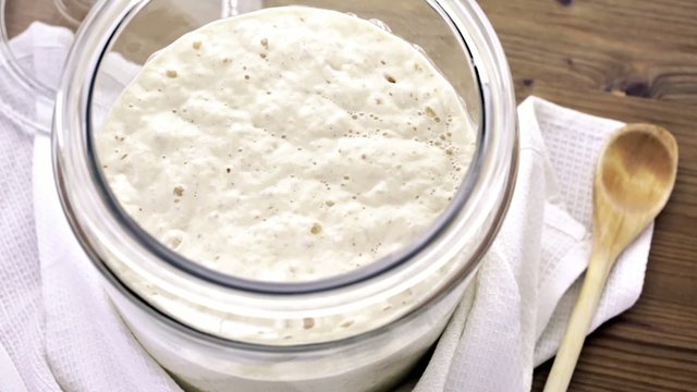 Sourdough starter