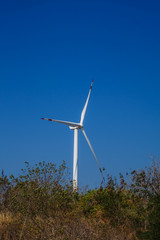 wind turbine