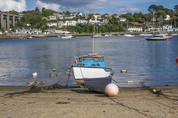 Swans Saltash Cornwall England UK