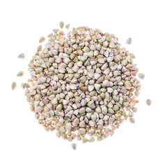 Buckwheat grain heap on white background by top view