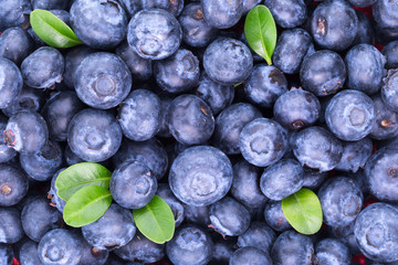 blueberries