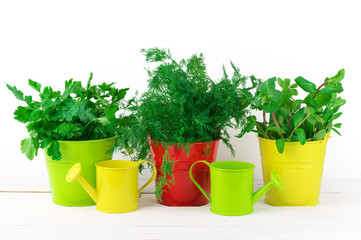 Flavoring greens in buckets