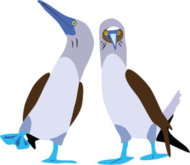 cute blue-footed booby couple vector