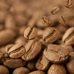 Closeup of coffee beans with focus on one