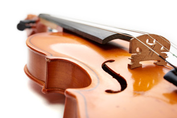 violin on white background