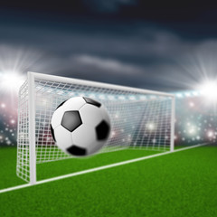 Fototapeta na wymiar soccer ball flies into the goal