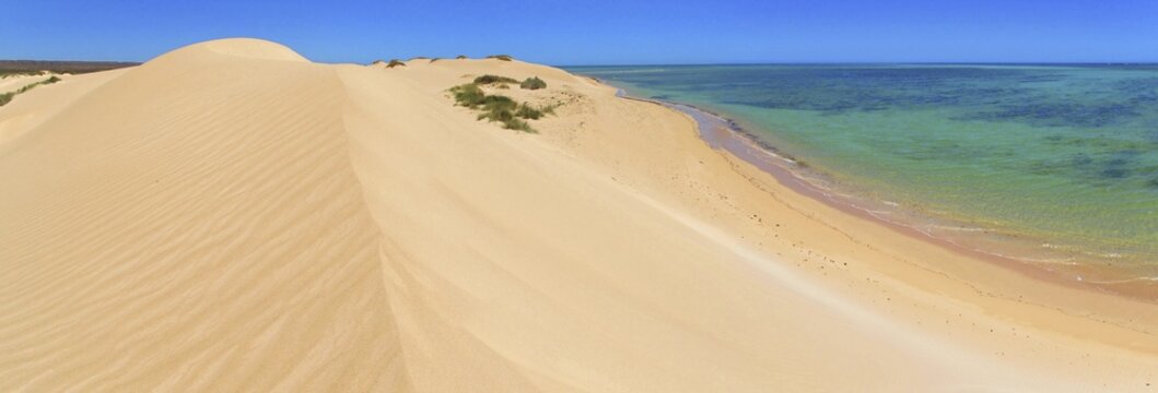 Dune at Ningaloo Coast, West Australia