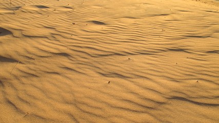 sand at Ningaloo Coast, West Australia