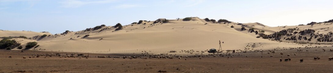 Fototapeta na wymiar Dune at Ningaloo Coast, West Australia