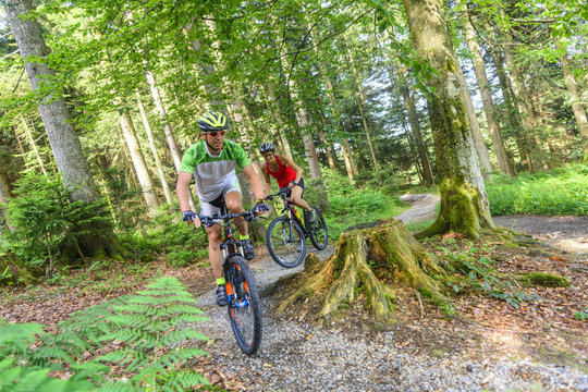 Eine Tour mit dem Mountainbike im Wald