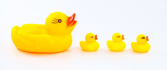 four ducks rubber on a white background