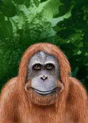 orang utan dschungel