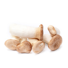 King Oyster mushroom (Eringi) isolated on white backgroud.