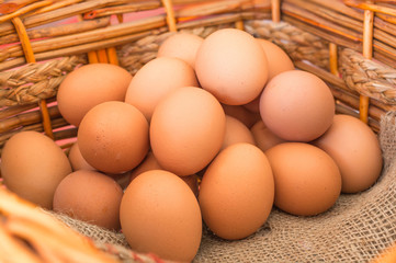Fresh Eggs in the Basket