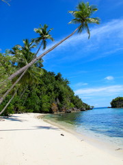 Waleakodi, Togean Islands, Indonesia