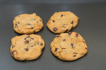 Four Fresh Baked Chocolate Chip Cookie