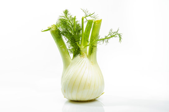 1 277 Best Fenouil Images Stock Photos Vectors Adobe Stock 1 277 Best Fenouil Images Stock Photos Vectors Adobe Stock