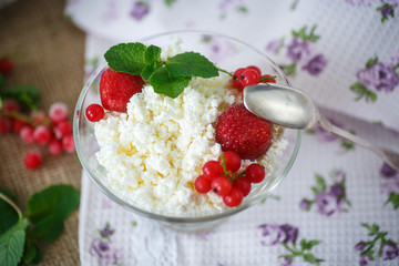 sweet curd with berries