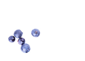 blueberry berry