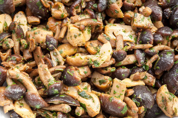 Misto di funghi trifolati