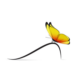Papillon jaune courbe à droite