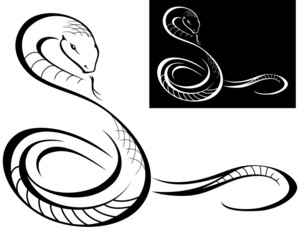 black snake with language, symbol, vector illustration