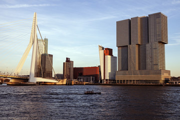 Fototapeta premium Rotterdam skyline with Erasmus Bridge
