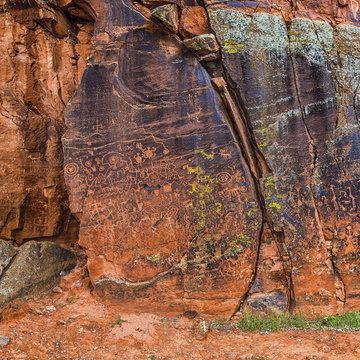Large Panel of Petroglyphs
