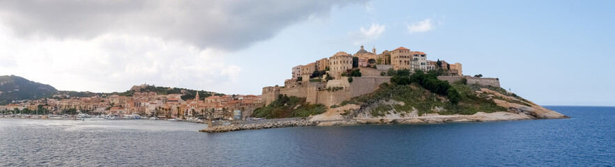 Fototapeta na wymiar Town of Calvi from the ferry
