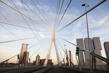 Printed roller blinds Rotterdam Driving on Erasmus Bridge