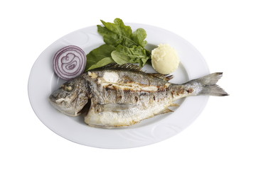 grilled fish